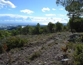 lands for sale in polop