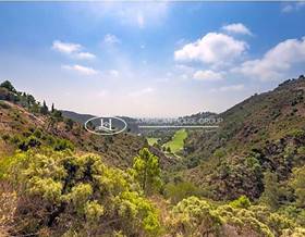 lands for sale in san pedro de alcantara