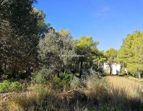 lands for sale in jesus pobre