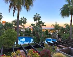 apartments for sale in san pedro de alcantara