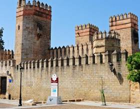 premises for sale in rota