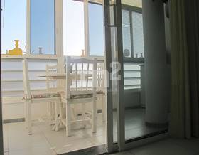 apartments for sale in guargacho