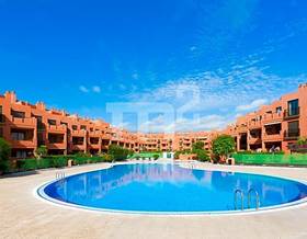 apartments for sale in arico