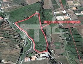 land sale los realejos palo blanco by 75,000 eur
