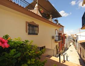 houses for sale in malaga province