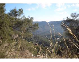 land sale barcelona cervello by 81,000 eur
