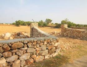 lands for sale in felanitx