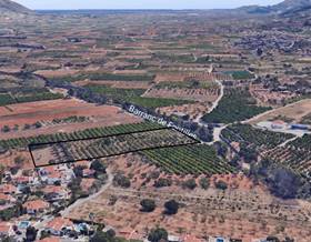 lands for sale in jesus pobre