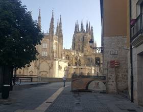 companies for sale in burgos