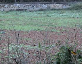 lands for sale in ulldecona