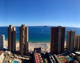 apartment sale benidorm avenida del mediterraneo by 240,000 eur