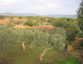 lands for sale in jaraiz de la vera