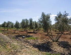 lands for sale in ciudad real province