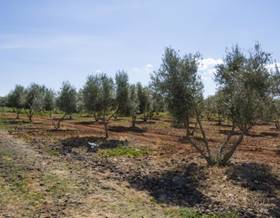 lands for sale in pozuelo de calatrava