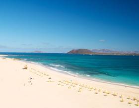 premises for sale in los majuelos