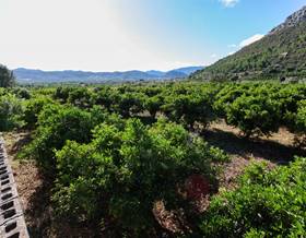 lands for sale in jesus pobre