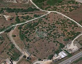 lands for sale in balearic islands