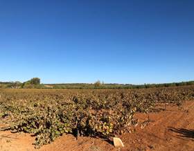 lands for sale in bonares