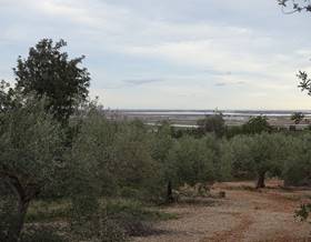 lands for sale in sant carles de la rapita