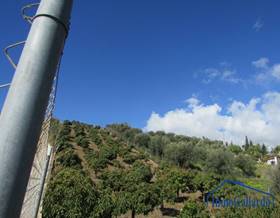 lands for sale in viñuela