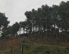 lands for sale in cervello