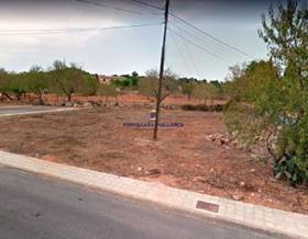 lands for sale in balearic islands