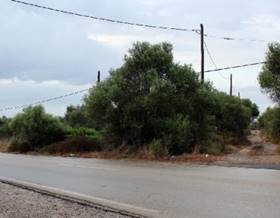 lands for sale in vilafranca de bonany
