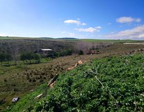 lands for sale in alba de tormes