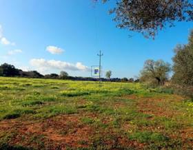 land sale santanyi sur-este by 350,000 eur