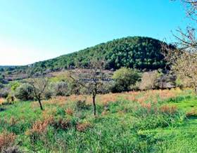 land sale manacor by 525,000 eur