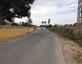 land sale girasoles proximo a san vicente by 60,000 eur