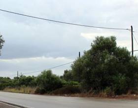 land sale felanitx portocolom by 20,000 eur