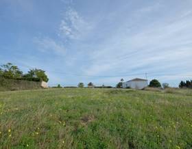 lands for sale in jesus pobre