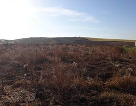 lands for sale in atalaya