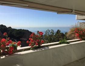 houses for sale in puerto banus