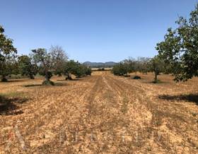 lands for sale in balearic islands
