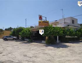 premises for sale in guaro