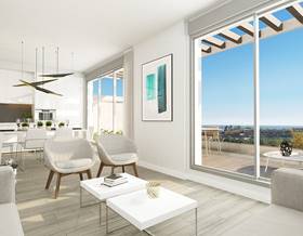 houses for sale in malaga province