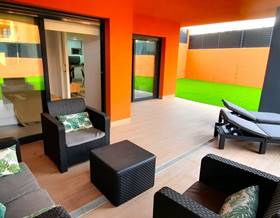 apartments for sale in torre de la horadada