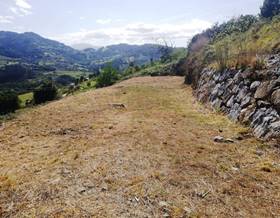 land sale candamo fenolleda by 28,500 eur