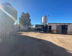 company sale castellon cabanes by 1,450,000 eur