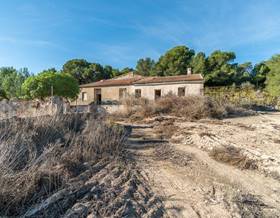 lands for sale in pinar de campoverde