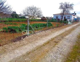 lands for sale in puerto real