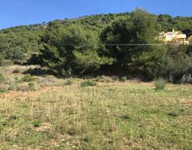 lands for sale in coin