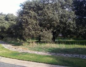 lands for sale in coria del rio