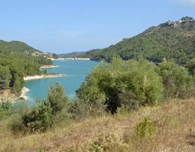 lands for sale in beniarda