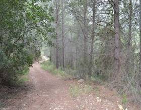 lands for sale in benichembla