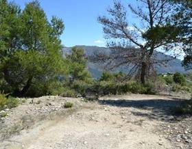land sale benimantell by 16,000 eur