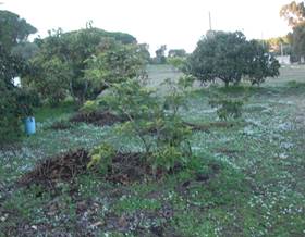 lands for sale in conil de la frontera
