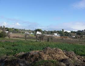 lands for sale in cadiz province